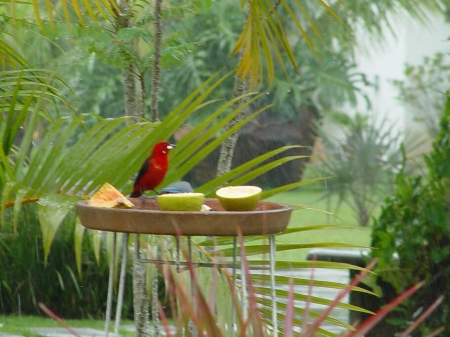 Linda, Perto Do Mar, Casa 3 Suites, Com Ar Casa de férias
